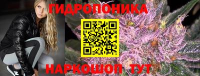 a pvp Малгобек
