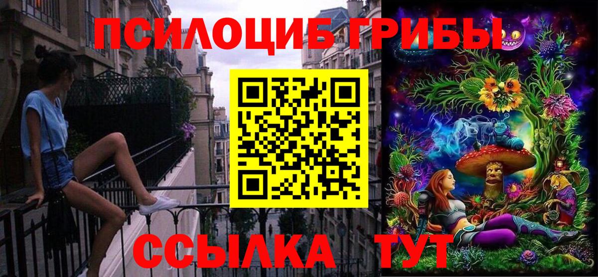Псилоцибиновые грибы мицелий  Вход с VPN  Щёлково 
